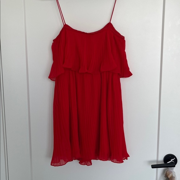 Zara Pleated Ruffle Dress - Picture 6 of 6